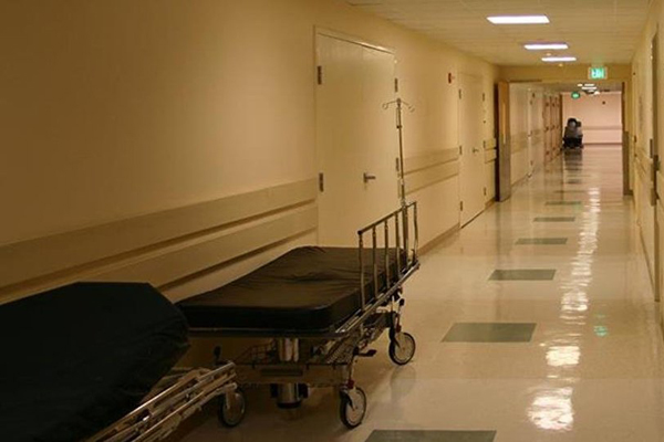 Hemşirelik okulu adaylara koyun alerjileri çalışmış olmayı şart koştu