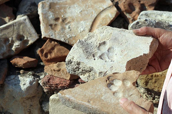 Tarihi Kadıkalesi'nde 8 asırlık pati izleri