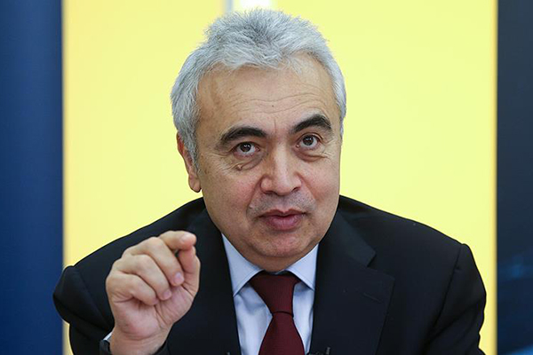 Türkiye bölgenin 'yenilenebilir enerji ihracatçısı' olma yolunda