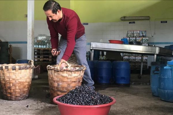 Dededen kalma geleneği devam ettiriyor