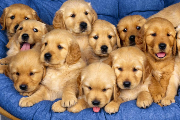 İngiltere'deki mağazalarda artık satışı yasaklandı