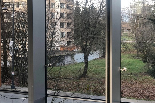 İnterneti ikiye bölen optik illüzyon: Duvar mı, gölet mi?