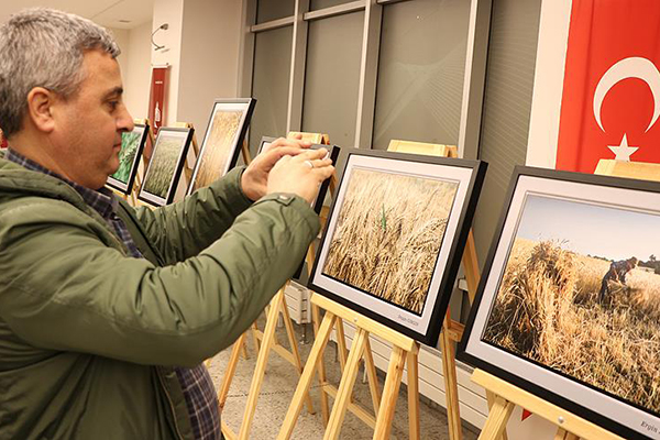 Buğdaydan ekmeğe, bir sezon emeği fotoğrafladılar