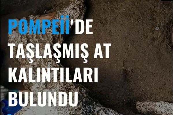 Pompei'de taşlaşmış at kalıntıları bulundu
