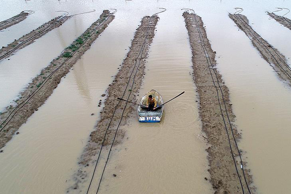 Ceyhan Nehri taştı ev ve tarlalar su altında kaldı