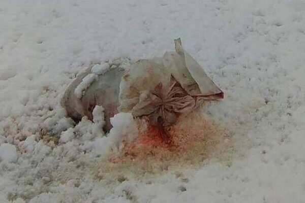 Srebrenitsa'daki Potoçari Anıt Mezarlığı'na çirkin saldırı