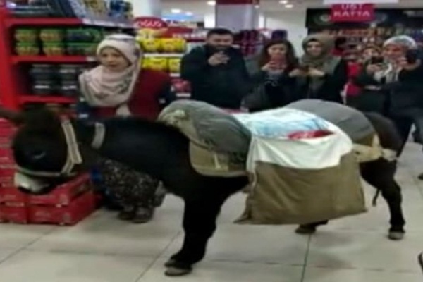 Markette eşekli ücretli poşet protestosuna 4 bin 545 lira para cezası