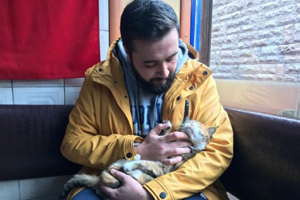 Sokakta üşüyen hayvanlara, çay ocağının kapılarını açtı