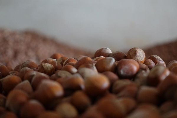 Trabzon'dan 67 ülkeye fındık ihracatı