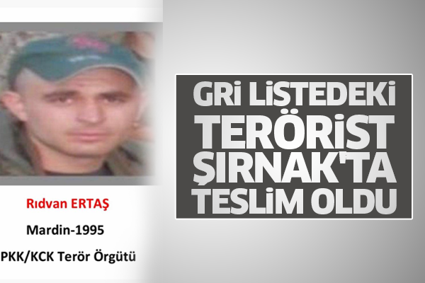 Gri listedeki terörist Şırnak'ta teslim oldu