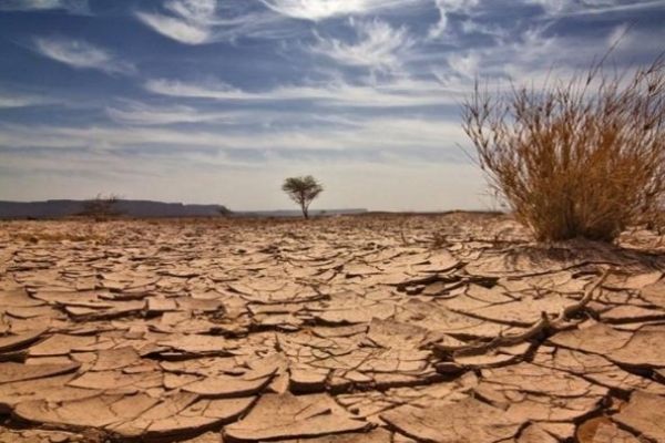 İklim kaynaklı doğal afetler 2018'de dünyayı vurdu