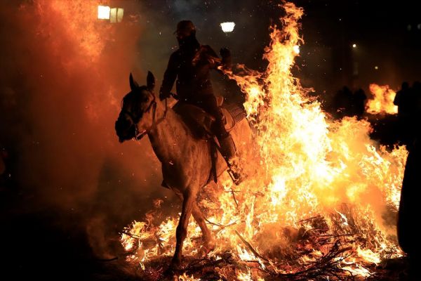 İspanya'da ki 300 yıllık gelenek, hayvan severlerin tepkisini çekti