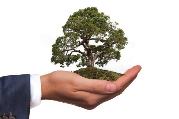 Çevreyi korumaya 133,4 milyar lira harcadık