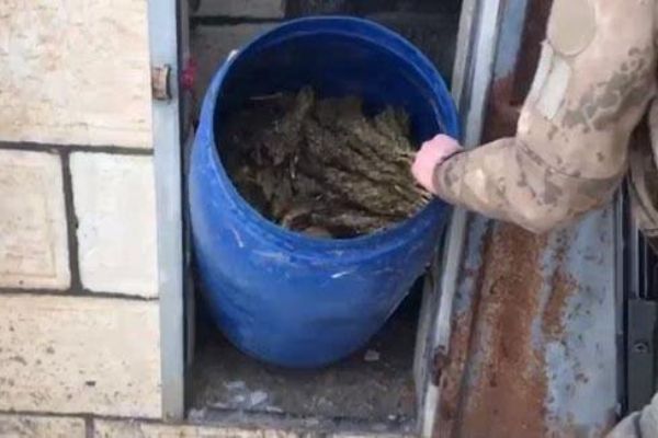 Diyarbakır'da minareye saklanmış esrar bulundu