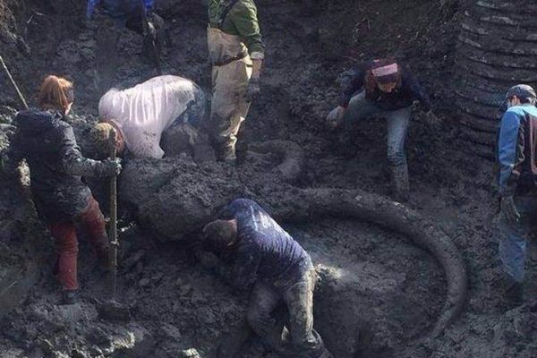 Tarla sürerken sıra dışı bir keşfe imza attılar