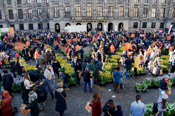 Hollanda'da 'Ulusal Lale Günü' etkinliği