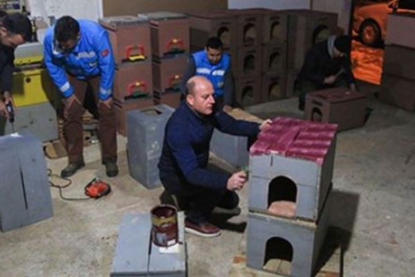 Eski seçim sandıkları kedi yuvası ve arı kovanı oldu