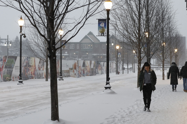 ABD'de kar fırtınası 280 uçuşu iptal ettirdi