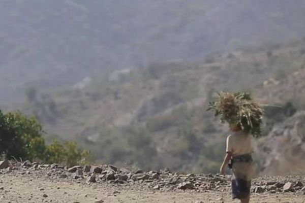 Yemen'deki savaş yüzünden evlerini geçindirmek için çalışan çocuklar