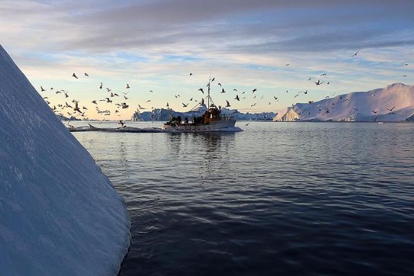 Grönland sanıldığından daha hızla eriyor