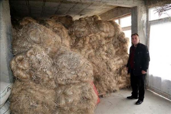 Kastamonu 100 metre karelik dükkanda ürettiği keneviri Amerika'ya satıyor