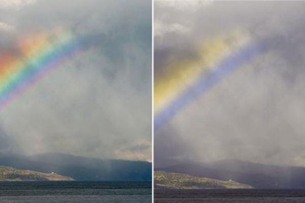 Renk körü insanlar renkleri böyle görüyor