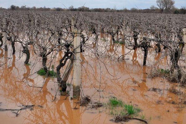 Manisa'da tarım arazileri sular altında kaldı
