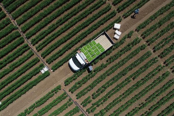 Çiftlik danışmanlarına yeni roller kazandırıldı