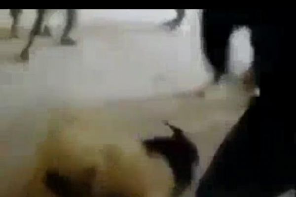 ABD askeri tarafından işkence edilen koç