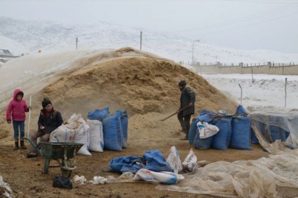 Kar Muşta yem sıkıntısına neden oldu