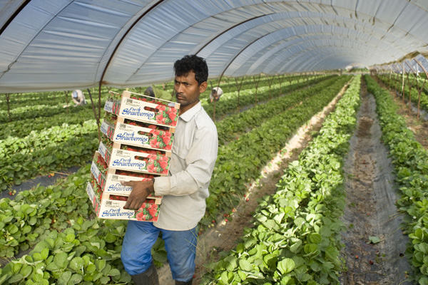 Antalya'dan 449 milyon dolarlık yaş sebze ve meyve ihracatı