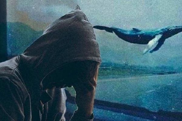 Mavi Balina timi kuruldu