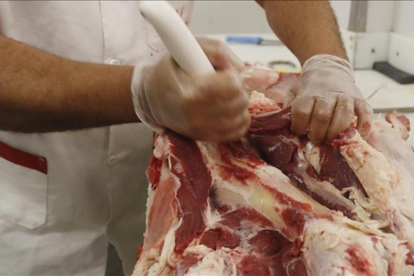 AB'de hastalıklı inek eti alarmı