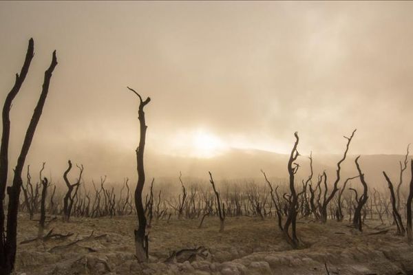 Küresel iklim değişikliğine Amerika'yı keşfeden Avrupalılar neden olmuş