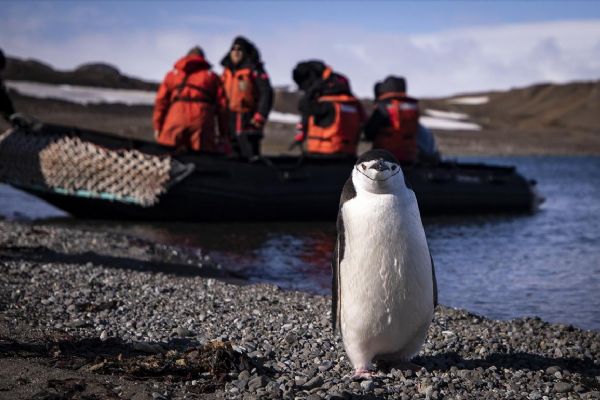 Türk ekibi 'Beyaz Kıta'ya' ayak bastı