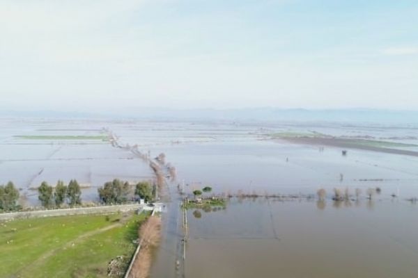 Aydın'lı üreticiler hazirana kadar üretim yapamayacağını söyledi