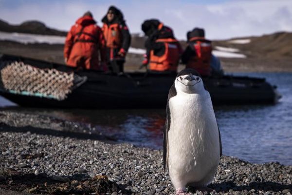 Türk ekibi Antarktika’ya ayak bastı