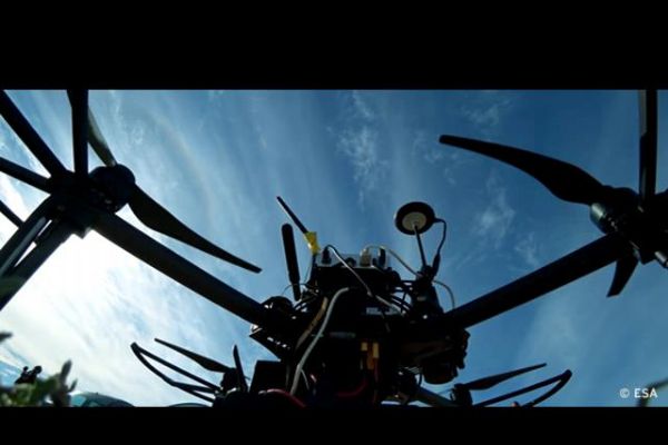 Yapay zeka grubu kendi kararını kendi veriyor