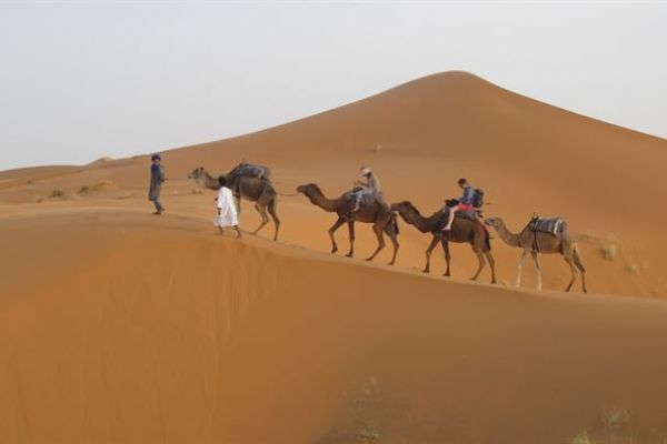 Sahra Çölü’nde bilinmeyen bir uygarlığın kalıntılarına rastlandı