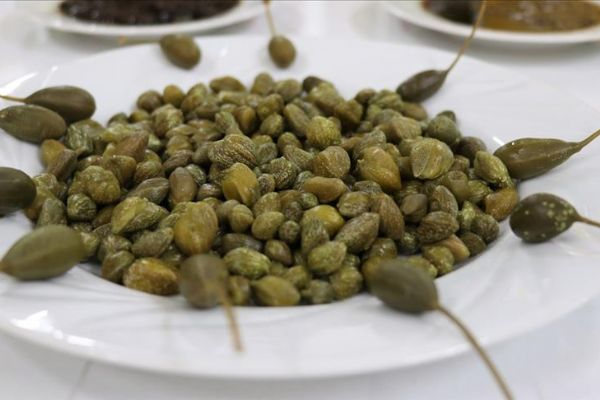 Burdur'dan 29 ülkeye kapari ürünü ihracı