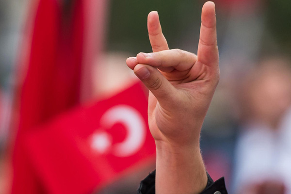 Türkiye’den bozkurt işaretinin yasaklanması ile ilgili açıklama