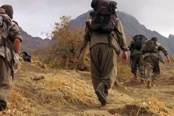 Teslim olan teröristin ifadesi şaşırttı