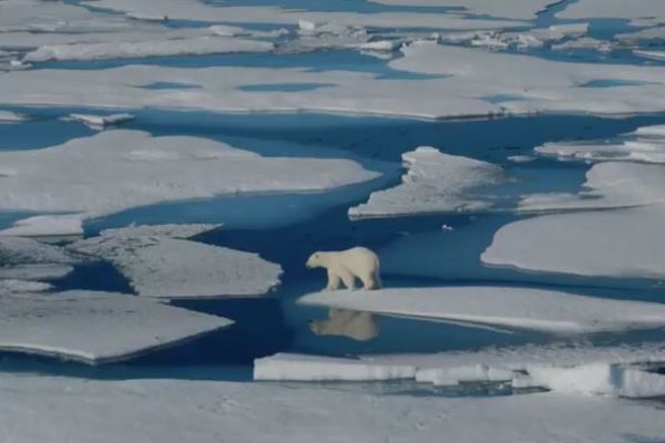 Tasman buzulun'dan dev buz parçaları koptu