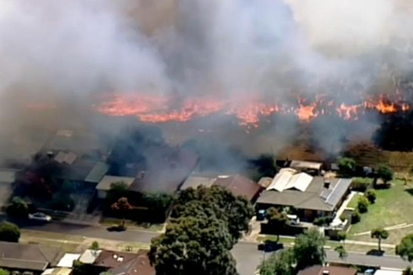 Avusrtralya'daki yangında binlerce hektarlık alan zarar gördü