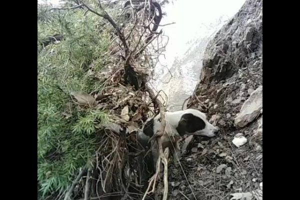 Şırnak Uludere'de çekilen bu görüntü, insanlığa olan inancınızı tazeleyecek