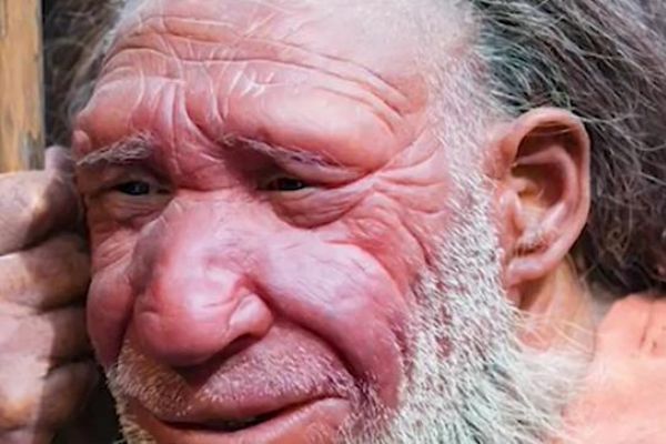 Cebelitarık'ta 29 bin yıllık ayak iz bulundu