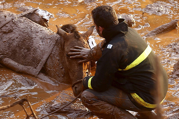 Brezilya'da çöken barajla ilgili yeni gelişme