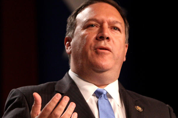 Pompeo'dan ABD'ye dönmek isteyen ''IŞİD gelinine'' sert tepki