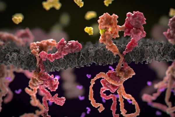 Kanser gelişim riskini azaltan gıdalar açıklandı