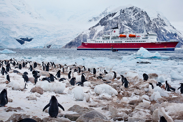 Bakanı Varank açıkladı: Antarktika'da geçici bilim üssümüzü kurduk